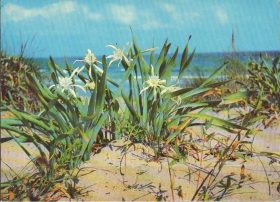 BG-PH-73-016.02